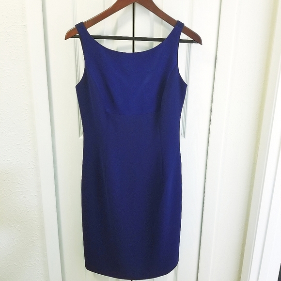 Beautiful Blue Alberto Makali Sheath Dress - Picture 2 of 12
